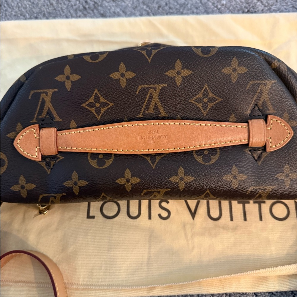 Louis Vuitton BumBag - Picture 3 of 10